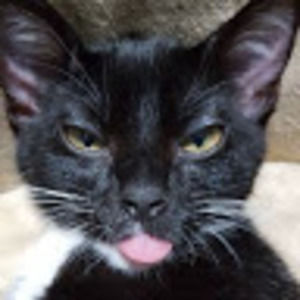 Meet your Posher, Becky